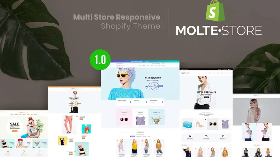 1 MolteStore