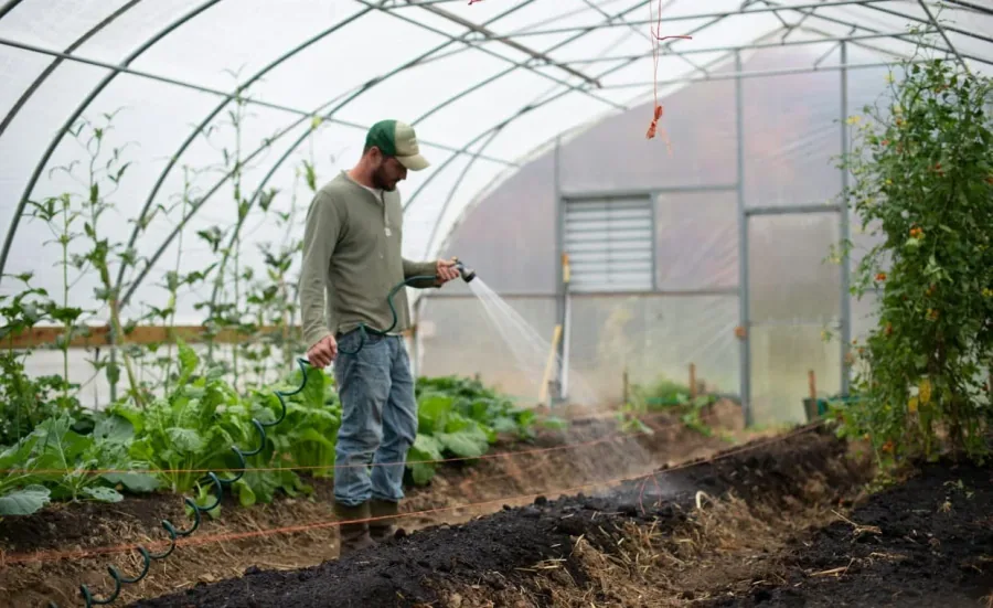 man watering plants using irrigation calculator