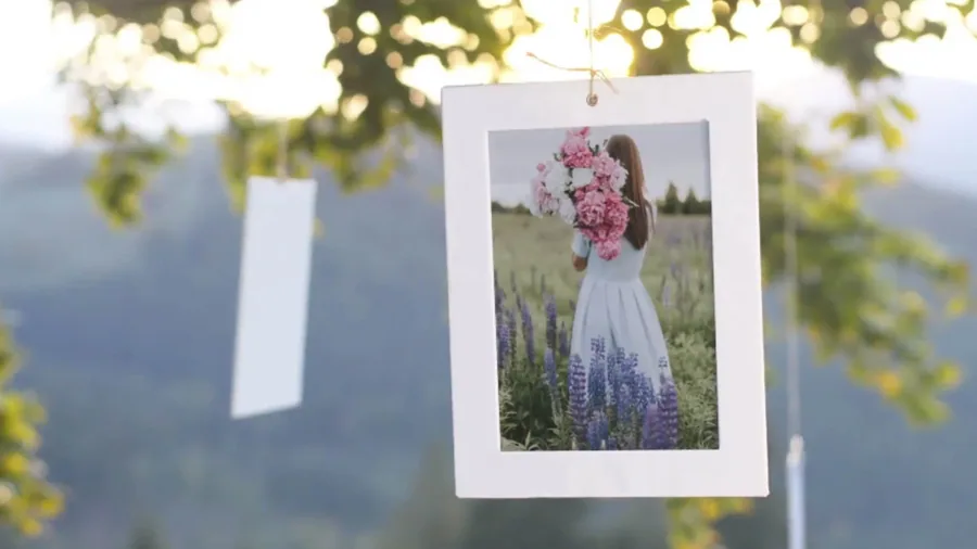 Family Tree - Photo Gallery 4K