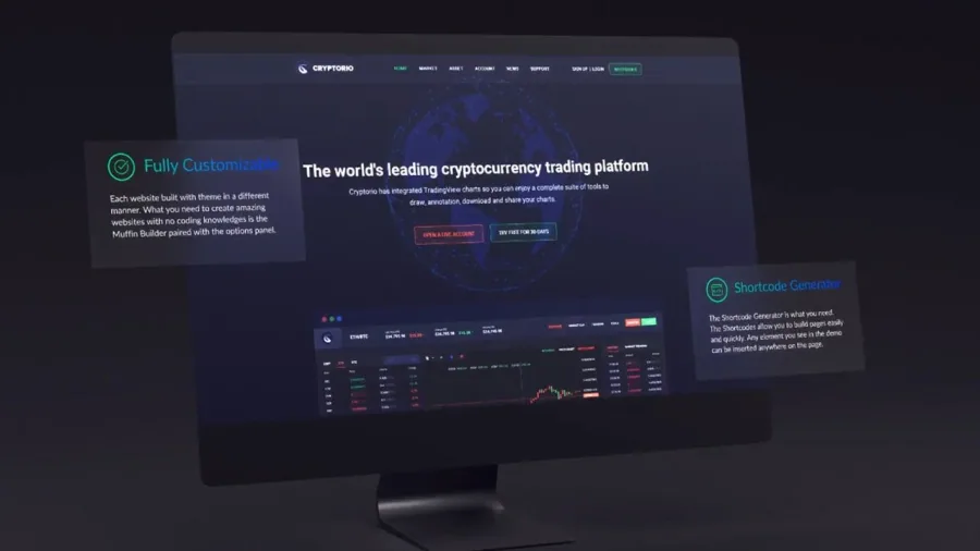 fully customizable website presentation template