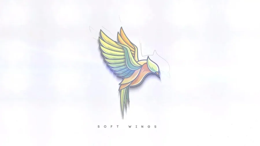 soft clean logo