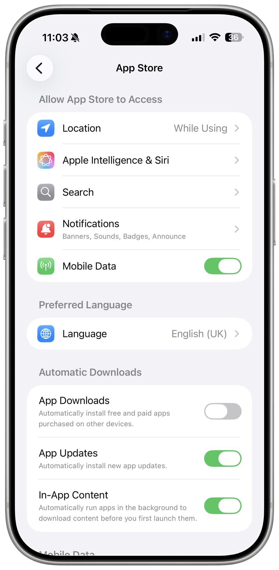 App Store Settings on iOS