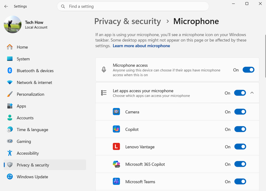 Privacy Microphone on Windows 11