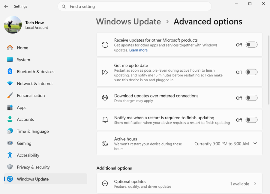 Windows Update Advanced Options showing Optional updates in Windows 11