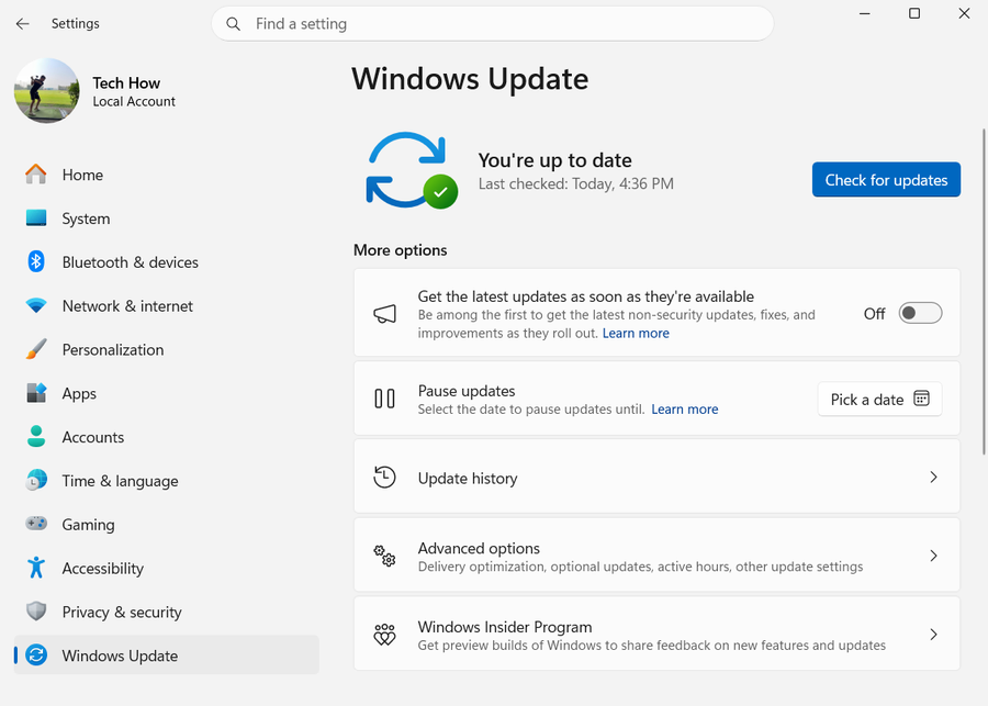 Windows Update Home on Windows 11