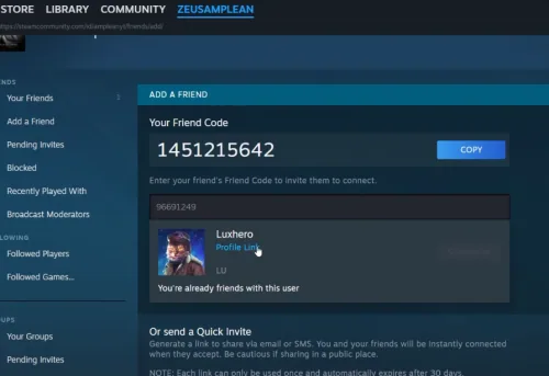 add friend via steam