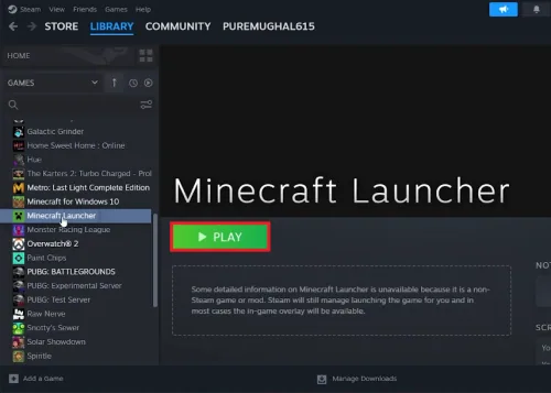 minecraft in steam
