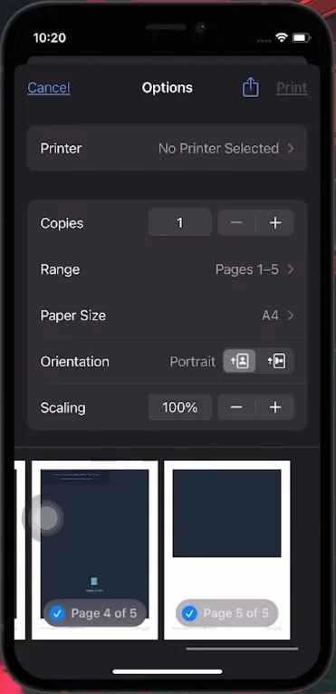 printer configuration page