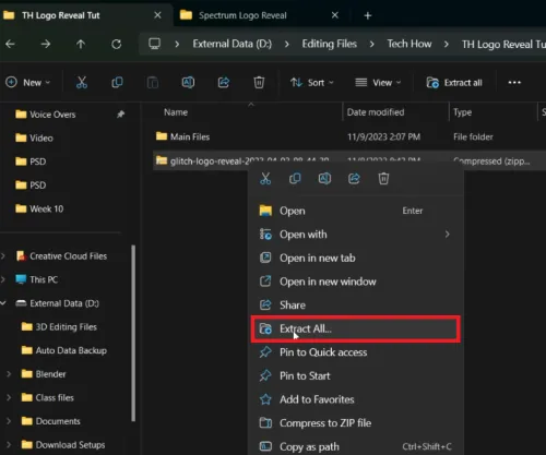 extract files from zip