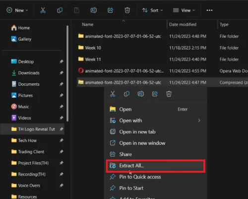 extract zip file