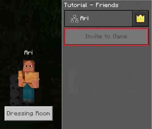 invite friends in minecraft