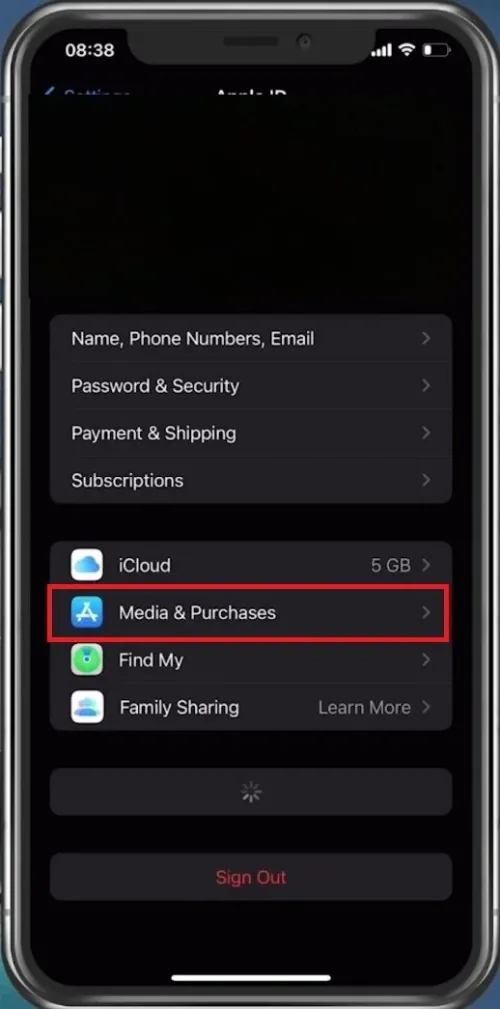 iPhone Settings > Apple ID > Media & Purchases