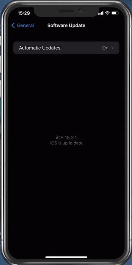 iPhone Settings > General > Software Update