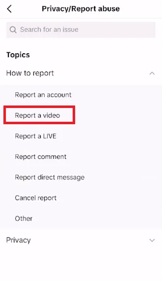 report video