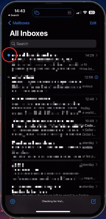 Verify your Apple ID Email
