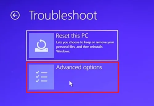 troubleshoot advanced options