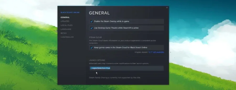 1 launch option.jpg