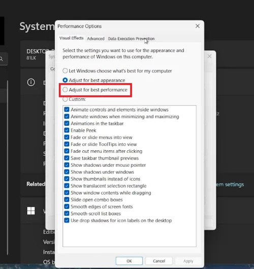 windows performance options