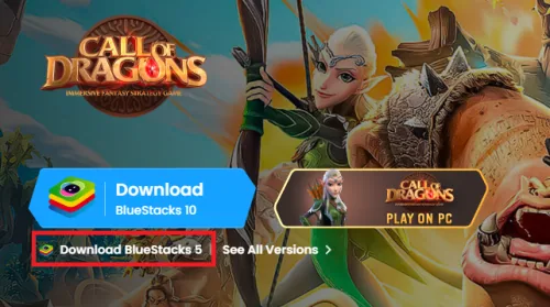 install bluestacks 5