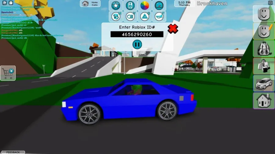 Brookhaven Gameplay