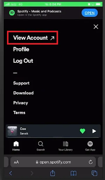 spotify profile through browser