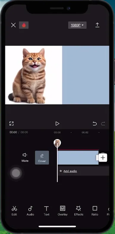 capcut add text