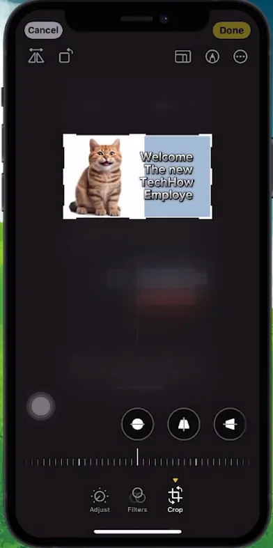 export thumbnail