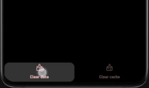 clear play store cache