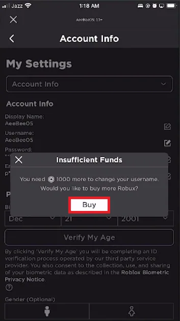 buy robux to change your roblox name
