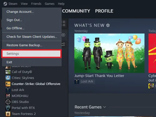 access steam settings