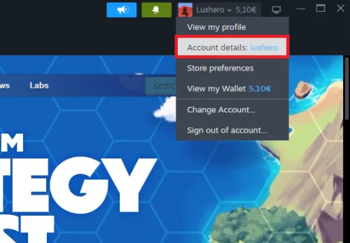 account details
