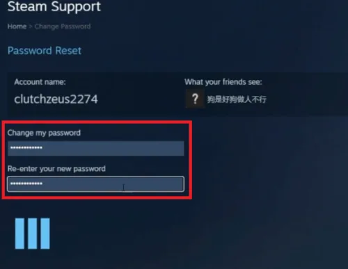 change password and verify