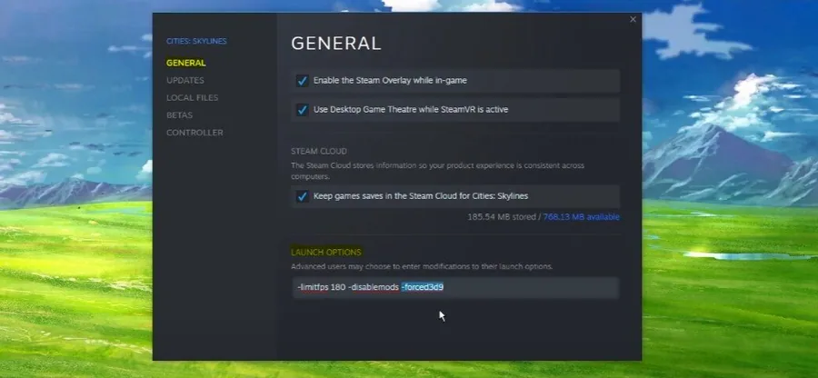 1 launch options.jpg