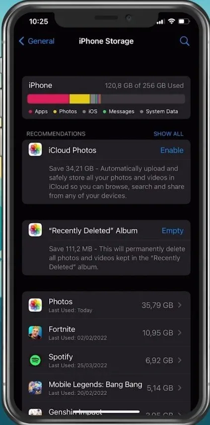 iPhone Settings > General > iPhone Storage