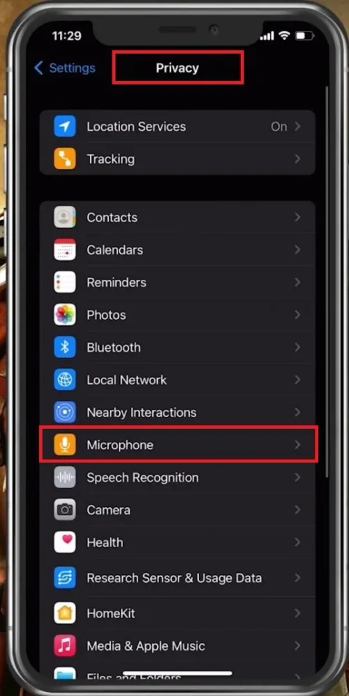 iPhone Settings > Privacy > Microphone