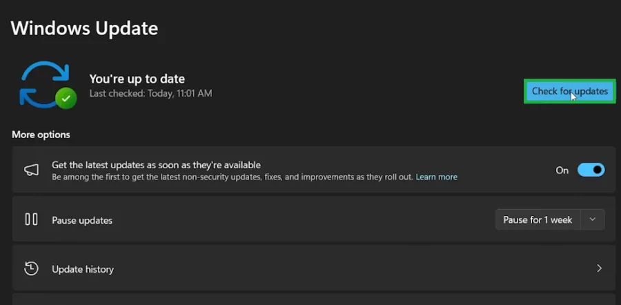 check for windows updates