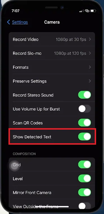enable show detected text