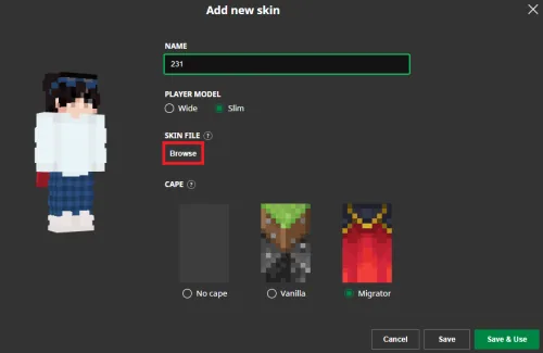 add new skin and change its settings