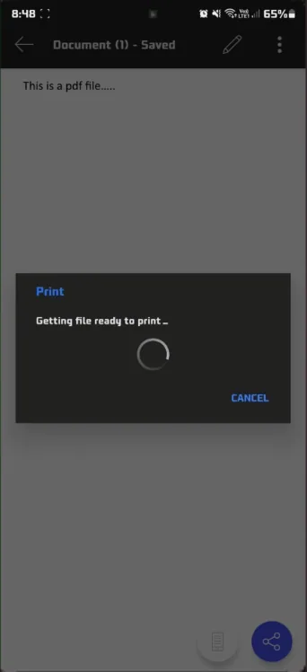 save pdf fiole