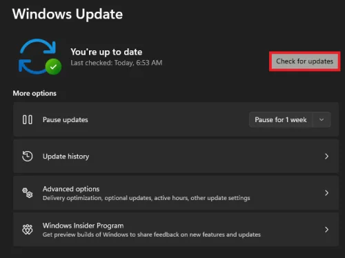 windows update