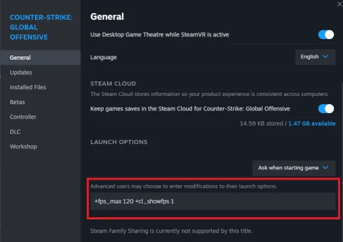 launch options for cs2