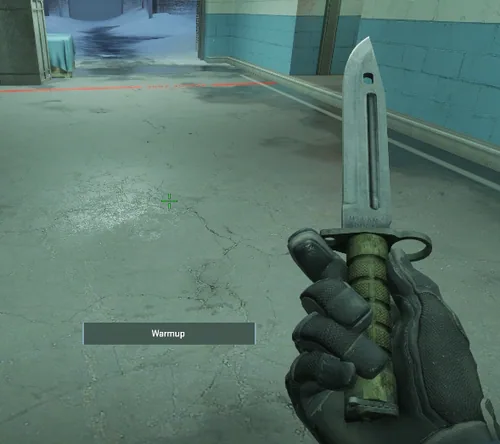 preview the CS2 changed skin
