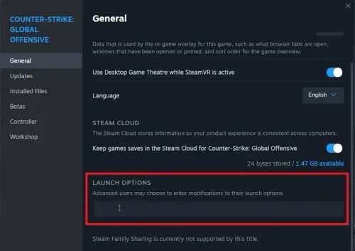 remove cs2 launch options