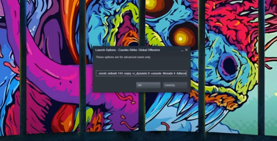 You can use all of the available launch options if you feel like it, but I would suggest to use one at a time to see which ones work best for you.