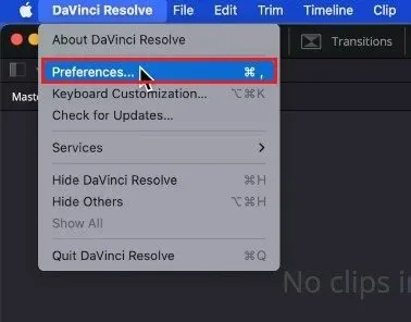 DaVinci Resolve > Preferences