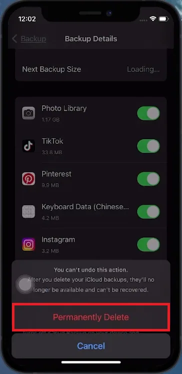 delete backup
