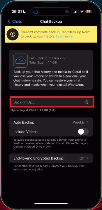 backup whatsapp chats