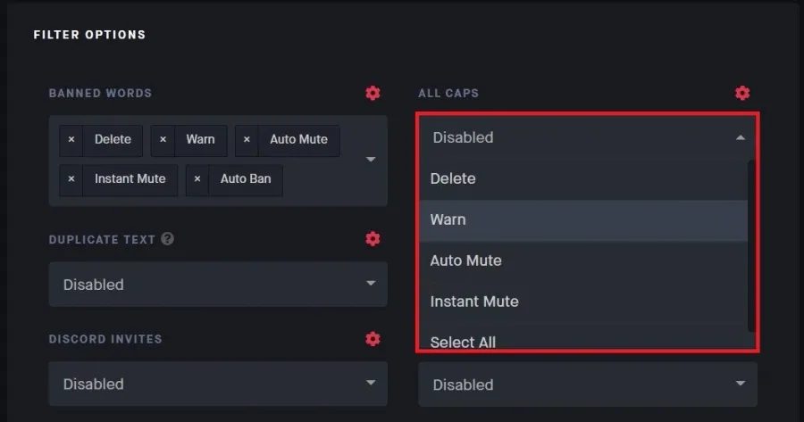 Automod Filter Options