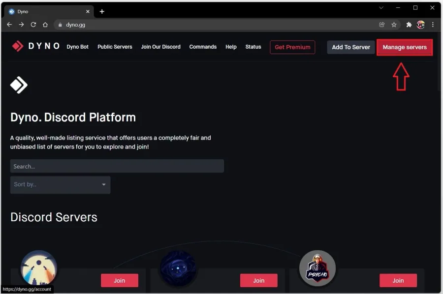 Dyno Website > Manage Servers