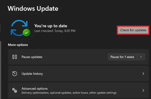 windows update